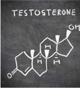 testostorone_test_cost